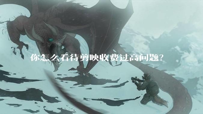 你怎么看待剪映收费过高问题？
